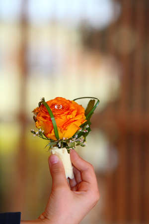 Child hand holding orange rose brown background