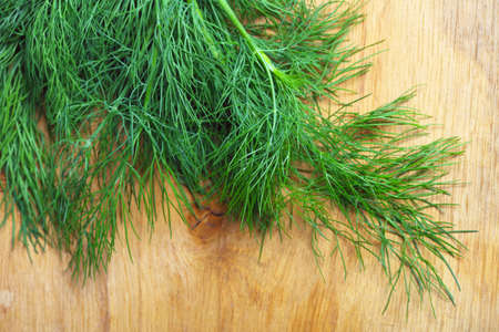 bunch fresh green dill herb on wooden old tableの写真素材