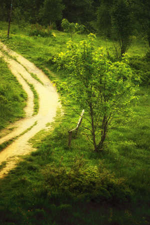 Pathway in beautiful green forest mountains hills landscape Poland Bieszczady.