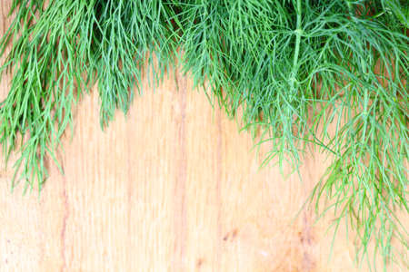 bunch fresh green dill herb on wooden old tableの写真素材