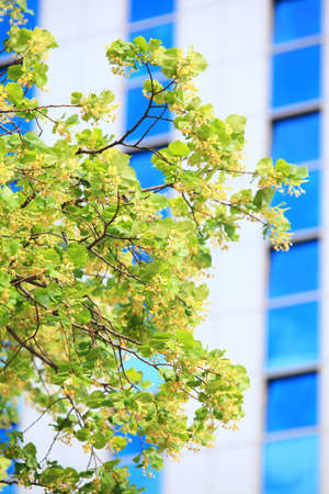 Modern architecture. Futuristic business corporate glass building, city backgroundの写真素材