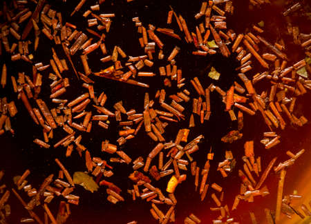 herbal or fruits tea.の写真素材