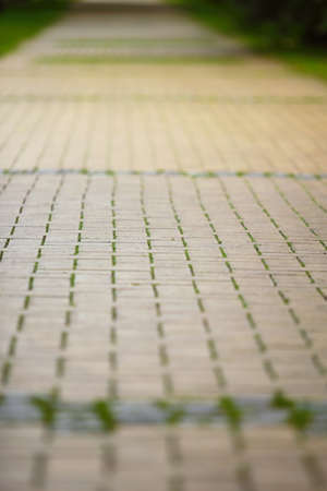 Stone road, path in park or garden の写真素材