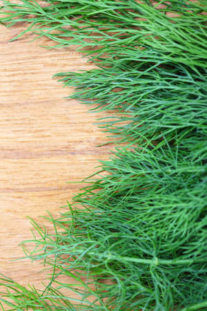 bunch fresh green dill herb on wooden old tableの写真素材