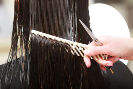 Close-up of hairdresser hands. Hairstylist with comb and scissors cutting hair of female client. Woman in hairdressing beauty salon.の写真素材