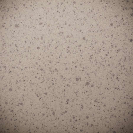 Closeup of beige brown spotted texture as backdrop pattern, vignette.  Square format.の写真素材