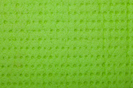 Closeup of vivid green sponge as texture pattern. Macro.の写真素材