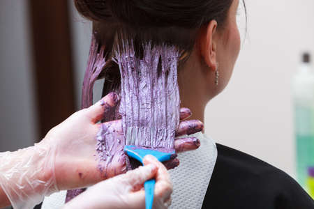 Brunette woman in hairdressing beauty salon  Girl dyeing hair by hairstylist  hairdresser colouring client hair  の写真素材