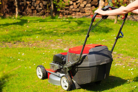 Gardening. Mowing green lawn with red lawnmower in spring day.の写真素材