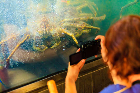 Woman tourist taking photo of Crab in in aquarium