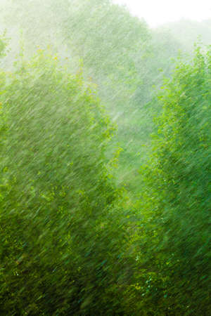Summer rainy outside window, water drops droplets raindrops on glass windowpane as background texture. Downpour rain.の写真素材