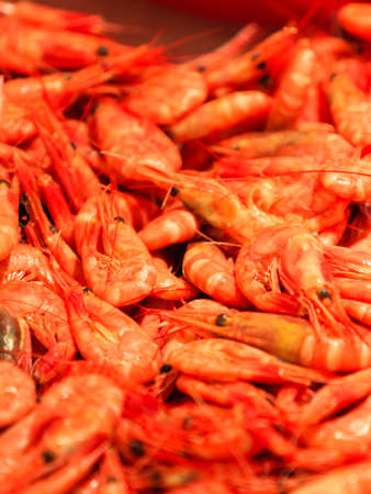 Shrimps at famous fish market (Fisketorget) in Bergen, Norwayの写真素材