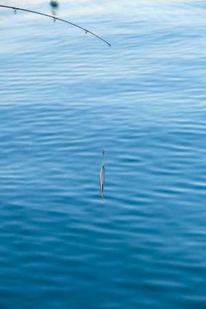 Sport and recreation. Fishing bait - rod with wobbler against the blue sea water surface