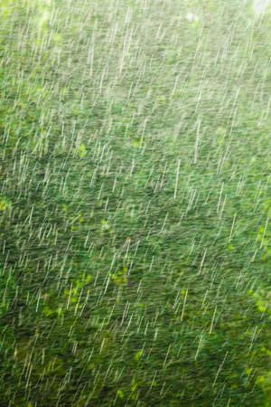 Summer rainy outside window, water drops droplets raindrops on glass windowpane as background...