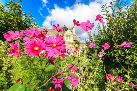 BIBURY, ENGLAND, UK - SEPTEMBER 21, 2014: Traditional Cotswold cottages in Gloucestershire on September 21, 2014, England. Bibury it the most depicted village in the world.のeditorial素材