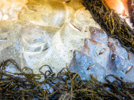 Healthy food nutrition. Various fishes in  at famous fish market (Fisketorget) in Bergen, Norway