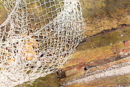 Fishing equipment. Closeup of old net. White fishnet on wooden background outdoor.のeditorial素材