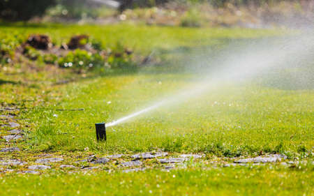 Gardening. Lawn sprinkler spraying water over green grass. Irrigation system - technique of watering in the garden.の写真素材