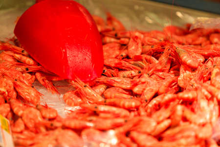 Shrimps at famous fish market (Fisketorget) in Bergen, Norwayの写真素材