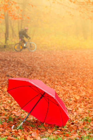 Autumn concept. Healthy active lifestyle. Red umbrella on autumn leaves background. Foggy misty dayの写真素材