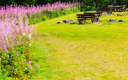 Picnic site wooden table and benches in Norway, Europe.の写真素材