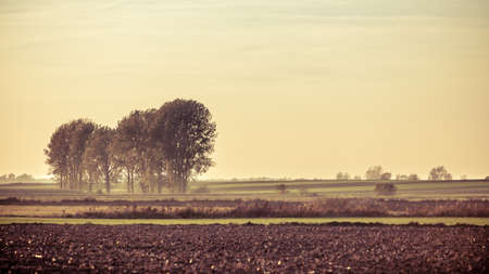 Landscape. Autumn farm field at the sunset. Filtered photoの写真素材
