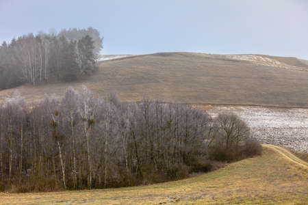 Nature autumn or winter landscape. Countryside view frosty hilly fields with trees overcast foggy dayの写真素材