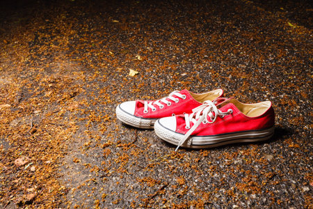 Walk in park in autumn. Red sneakers with white laces. Outdoor activities.の写真素材