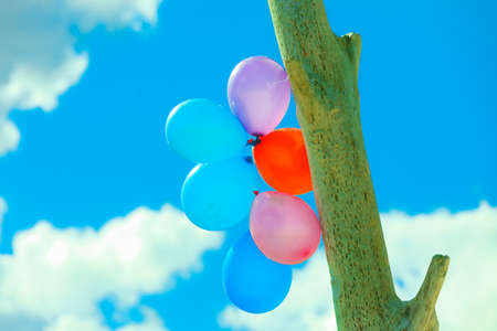 Concept of love in summer, freedom and wedding honeymoon. Colorful balloon chain in the sky outdoorの写真素材