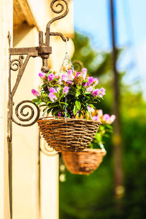 Flowers in hanging wicker baskets on old wall with ornamental decoration outdoorsの写真素材