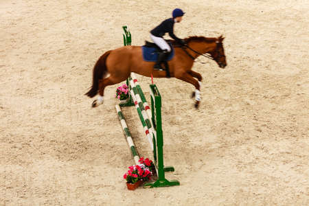 Equitation. Riding competition. Show jumping, horse and rider over jumpの写真素材