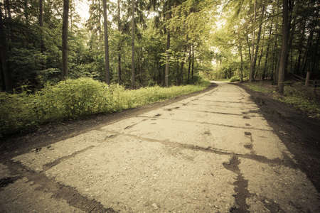 Landscape. Country old concrete road in the forest.の写真素材