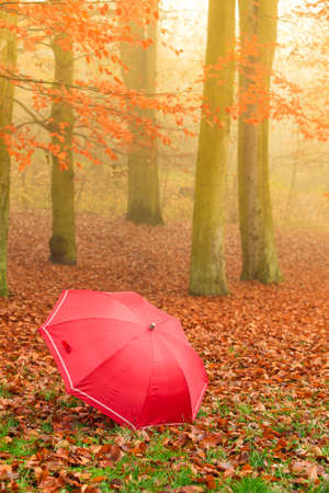 Autumn concept. Healthy active lifestyle. Red umbrella on autumn leaves background. Foggy misty dayの写真素材