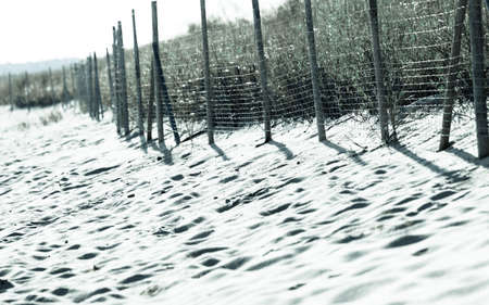 Summer vacation and resort. Sandy beach in summer and grassy dunes with fenceの写真素材