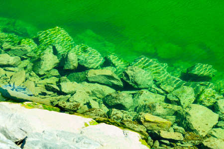 Stone rock in sea water, nature pebbleの写真素材