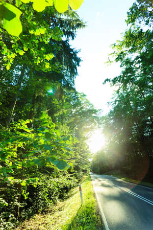 Landscape. Asphalt road through the summer green forest with sunlight raysの写真素材