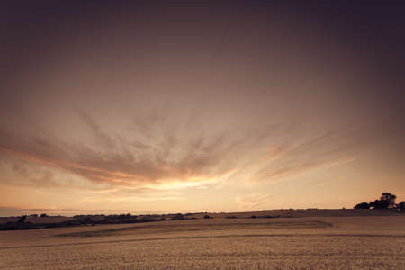 Beautiful sunset or sunrise over summer field meadow with dramatic sky,  Image in vintage retro...
