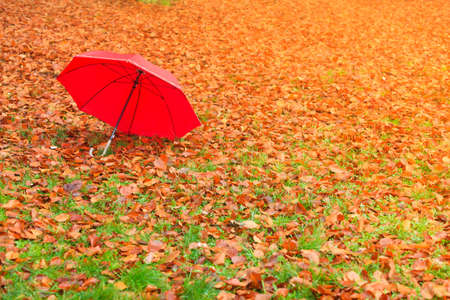 Autumn concept. Healthy active lifestyle. Red umbrella on autumn leaves background. Foggy misty dayの写真素材