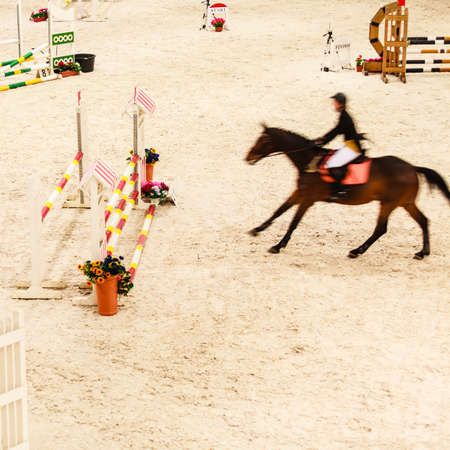 Equitation. Riding competition. Show jumping, horse and rider jump overの写真素材