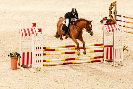 Equitation. Riding competition. Show jumping, horse and rider over jumpの写真素材