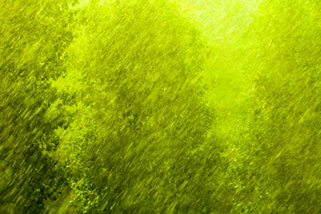 Summer rainy outside window, water drops droplets raindrops on glass window pane の写真素材