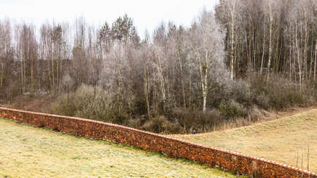 Nature autumn or winter landscape. Countryside view frosty hilly fields with trees overcast foggy dayの写真素材