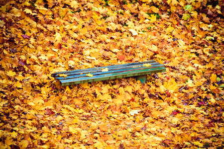 Autumn scenery. Bench and brown orange maple leaves in city park, beautiful gold fall.の写真素材