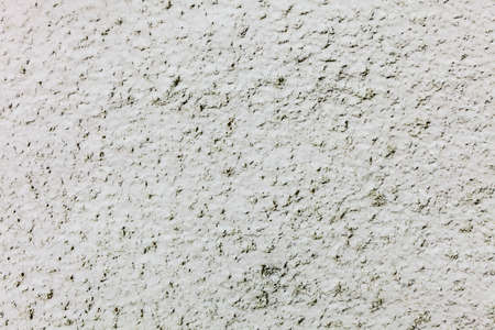 Winter season and seasonal specific. Fresh snow on green grass closeup concept backgroundの写真素材