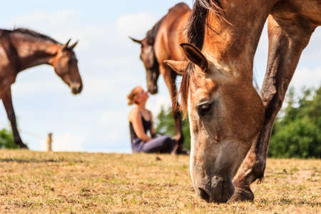 Young woman girl taking care of brown horse. Female with animal outdoor.の写真素材