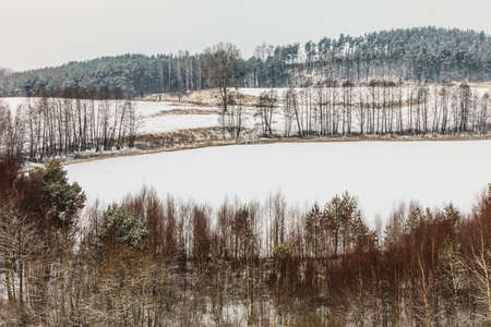 Winter season and seasonal specific. Hilly fields maedows trees covered with white fresh snow. Countryside landscapeの写真素材