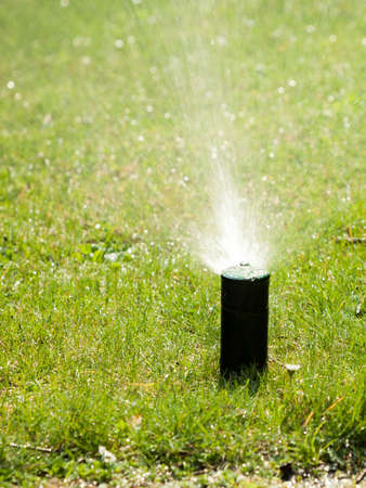 Gardening. Lawn sprinkler spraying water over green grass. Irrigation system - technique of watering in the garden.の写真素材