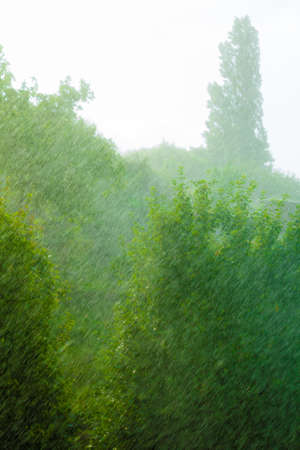 Summer rainy outside window, water drops droplets raindrops on glass windowpane as background...