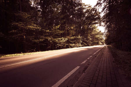 Landscape. Asphalt road through the summer green forest with sunlight raysの写真素材