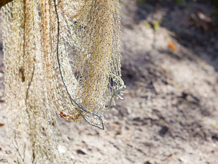 Fishing equipment. Closeup of old net. White fishnet on shore outdoor.の写真素材